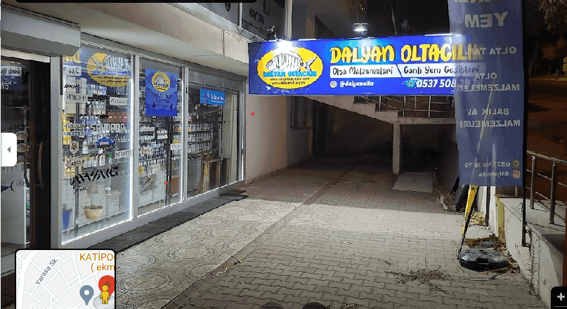 Hangi Balık İçin Hangi Canlı Yem Alınmalı?